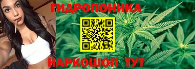 герыч Лесосибирск