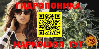 герыч Лесосибирск