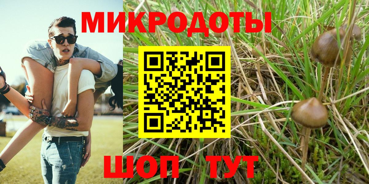Шебекино  Псилоцибиновые грибы прущие грибы  Вход с VPN  Галлюциногенные грибы GOLDEN TEACHER 